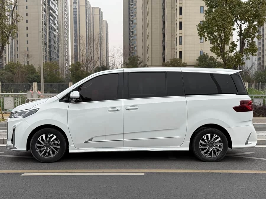 Maxus G20