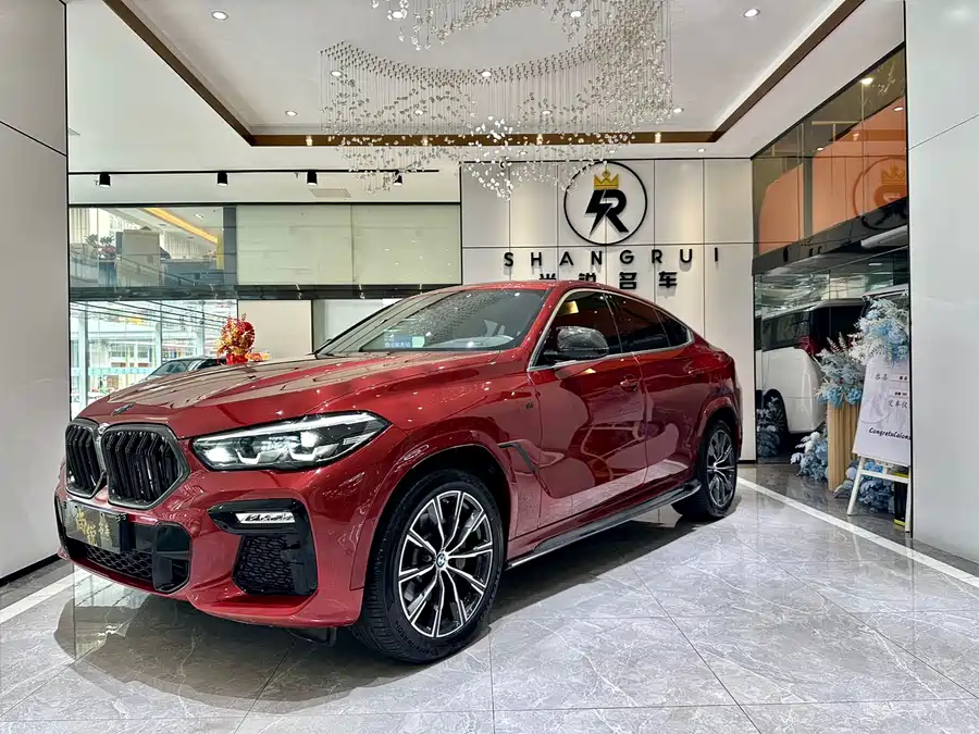 BMW X6