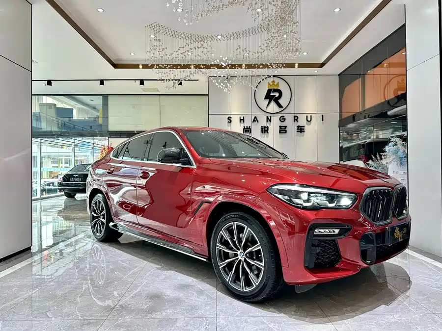 BMW X6