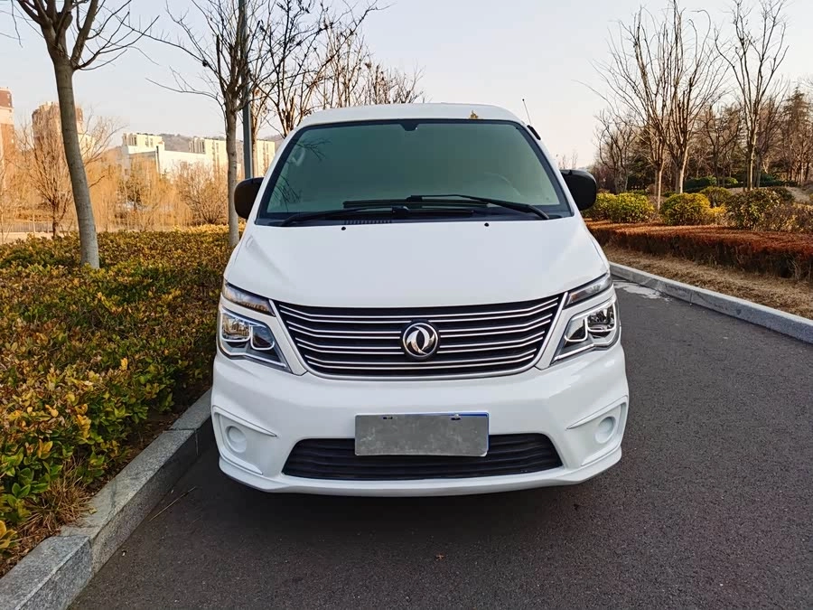 Dongfeng Lingzhi