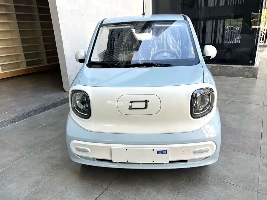 Pentium pony
