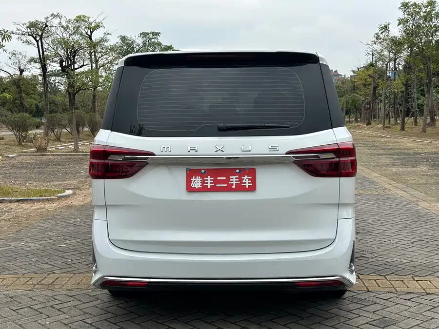 Maxus G20