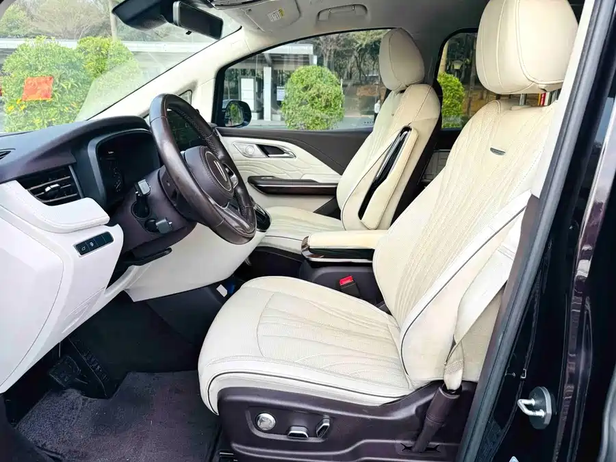 Hongqi HQ9