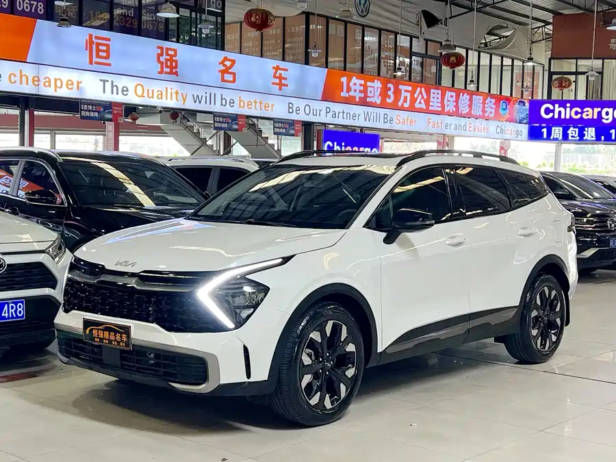 Kia Lion Platinum