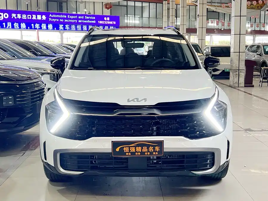 Kia Lion Platinum