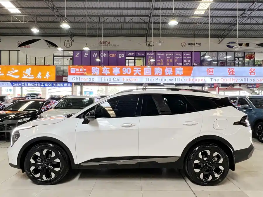 Kia Lion Platinum