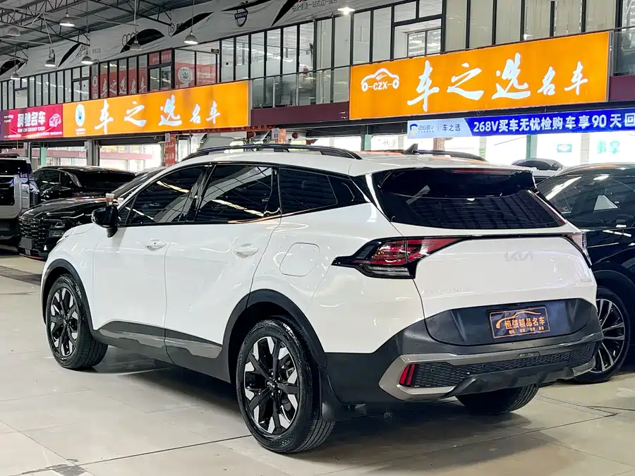 Kia Lion Platinum