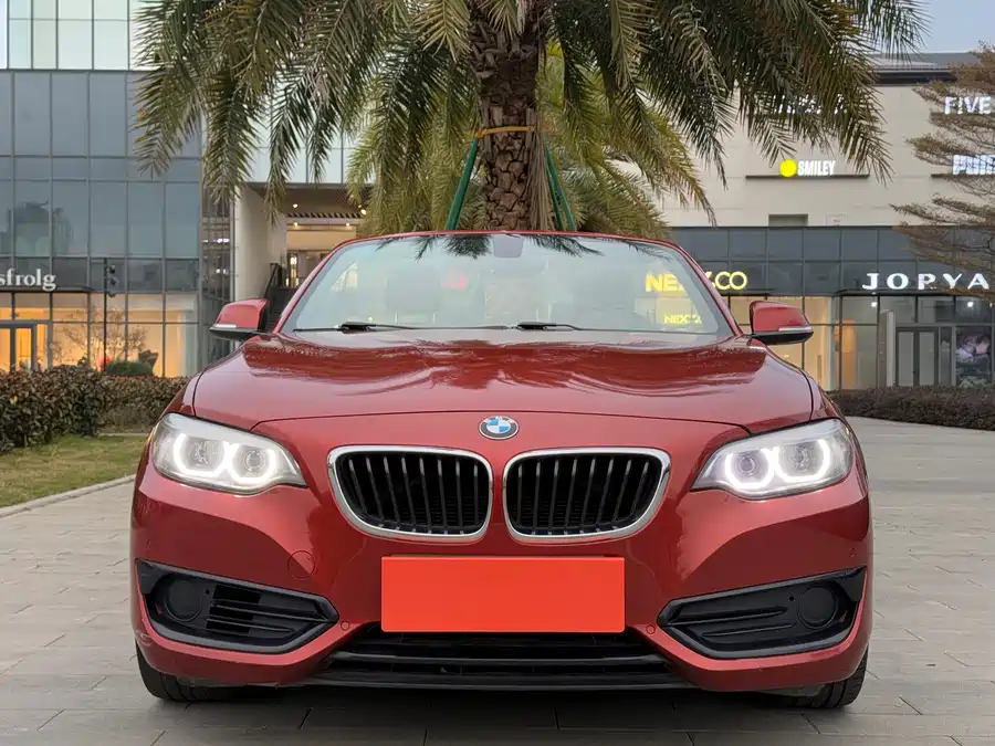 BMW 2 Series