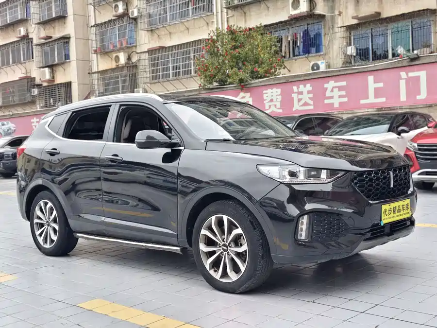 Wey VV6