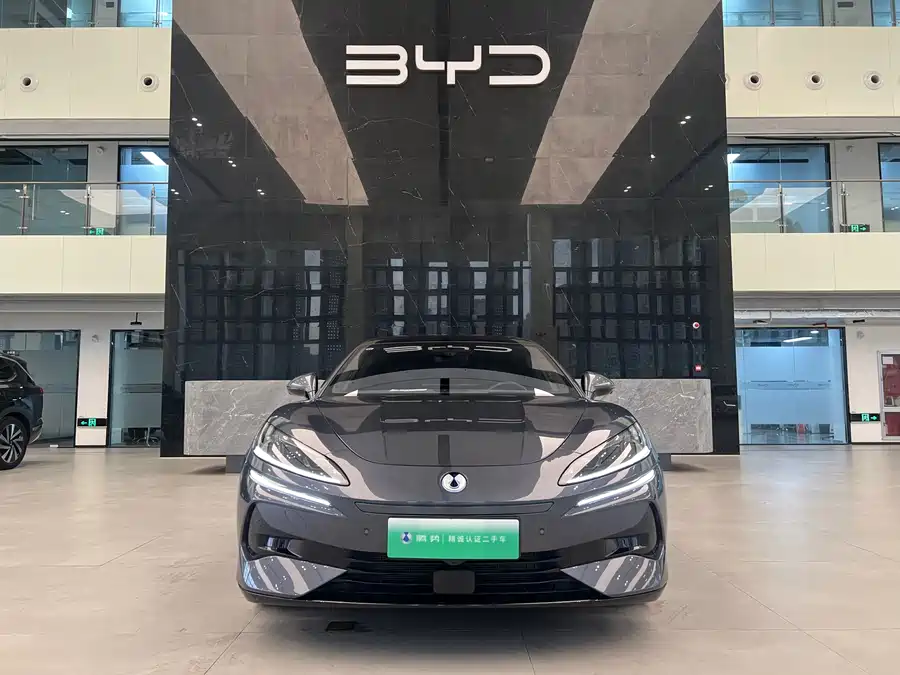 BYD Z9