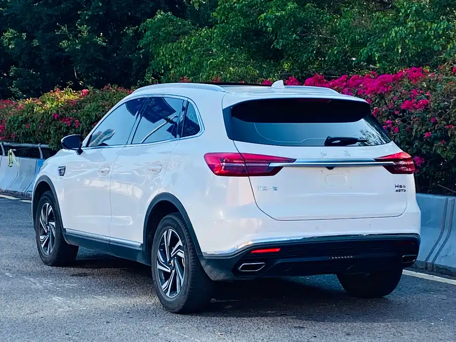 Hongqi HS5
