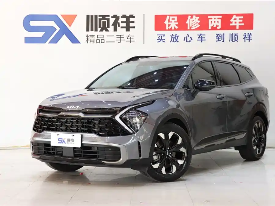 Kia Lion Platinum