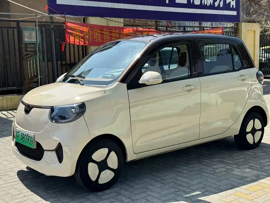 Tiger EV