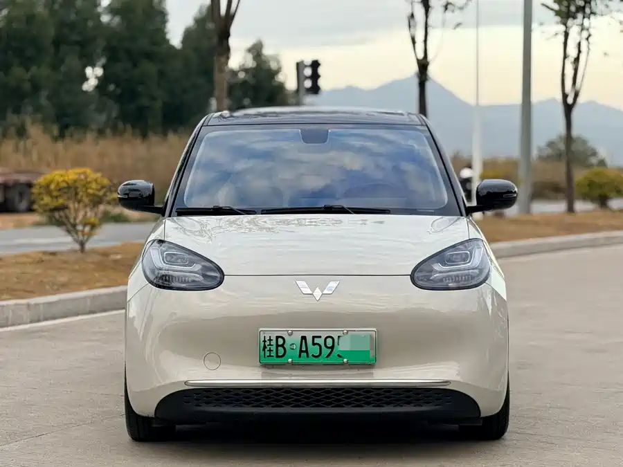 Wuling Bingo
