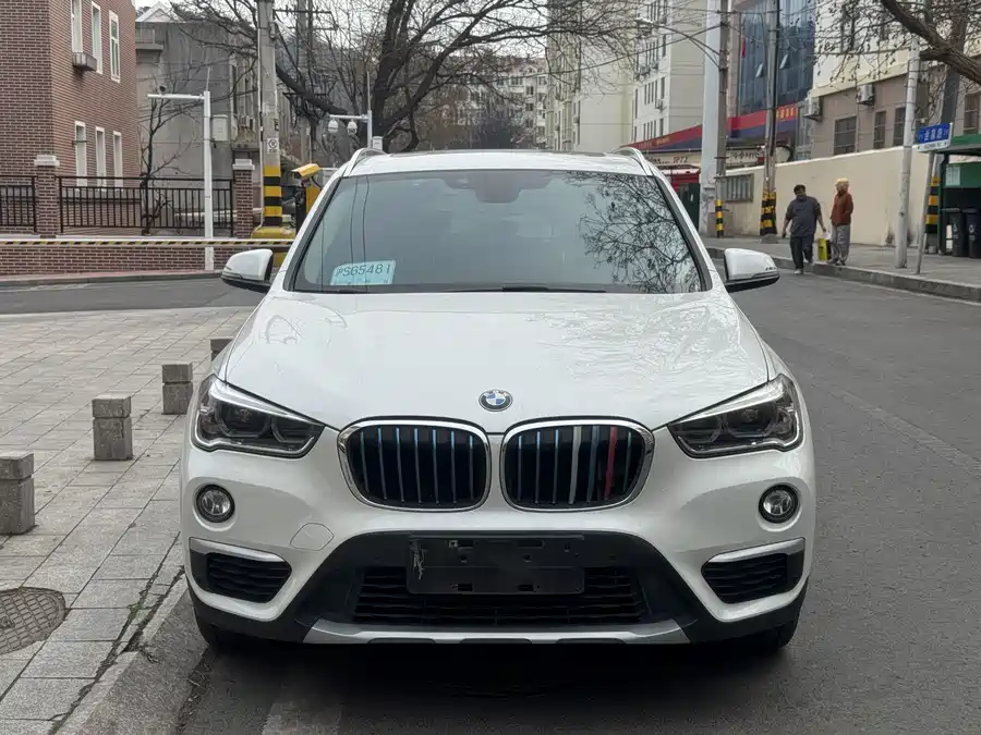 BMW X1 New Energy