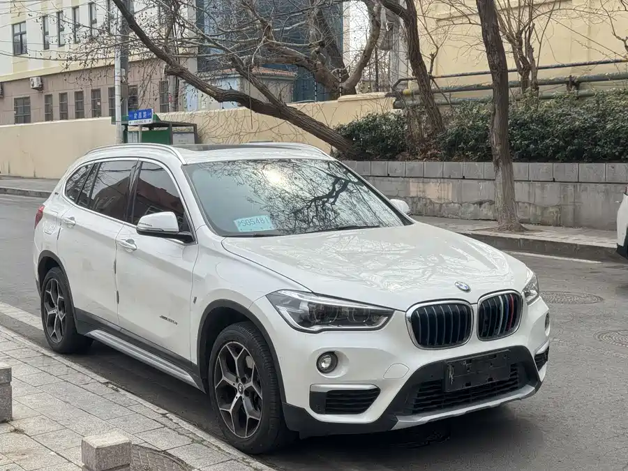 BMW X1 New Energy