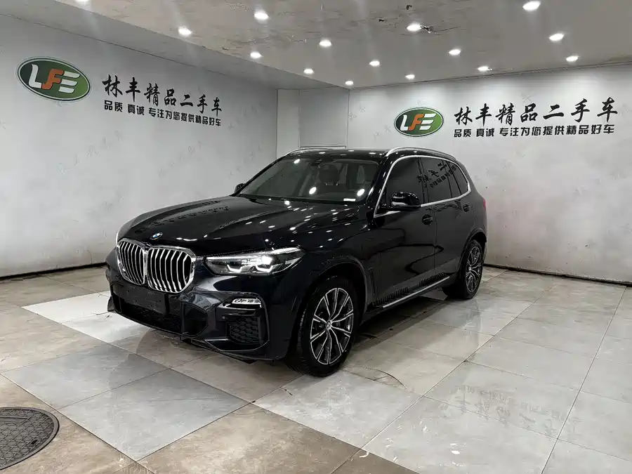 BMW X5 New Energy