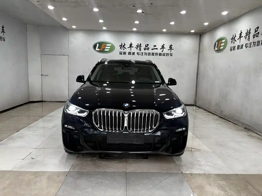 BMW X5 New Energy