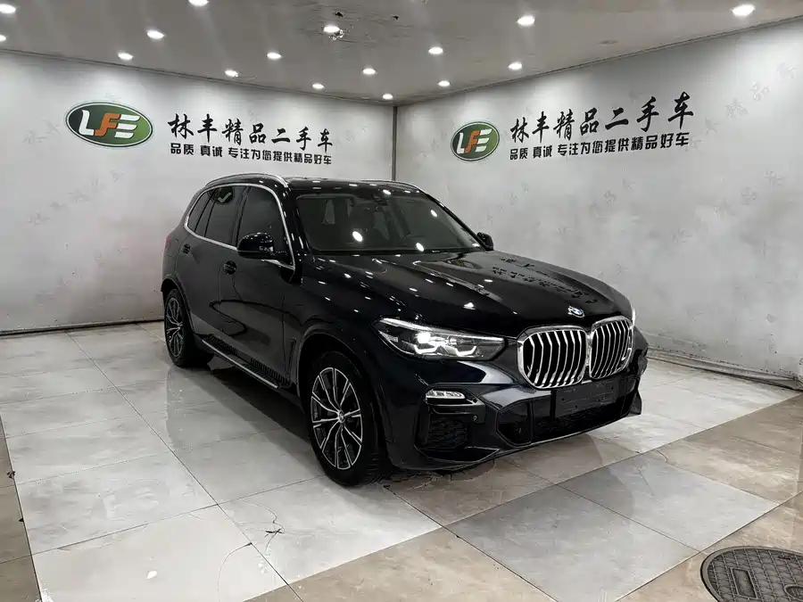 BMW X5 New Energy