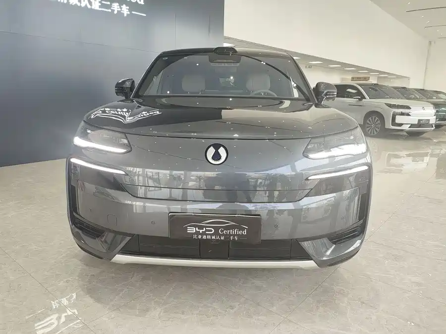 BYD N9