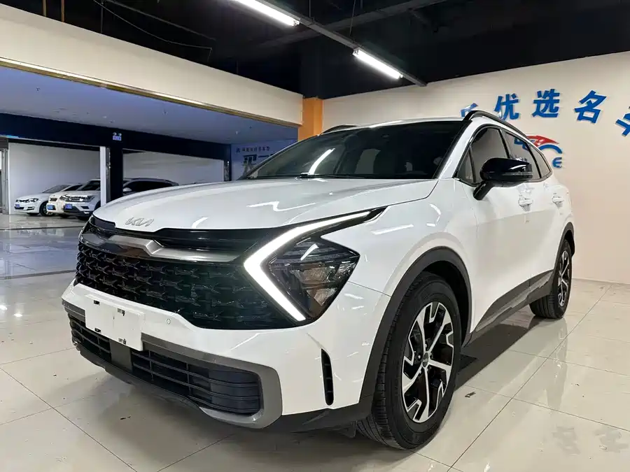Kia Lion Platinum
