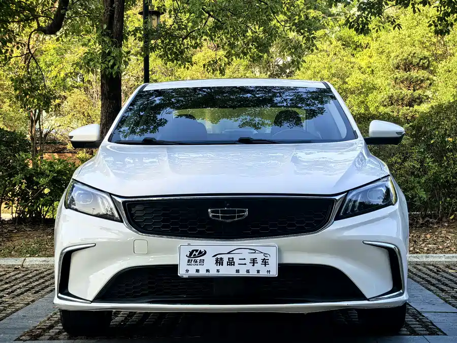Geely Binrui