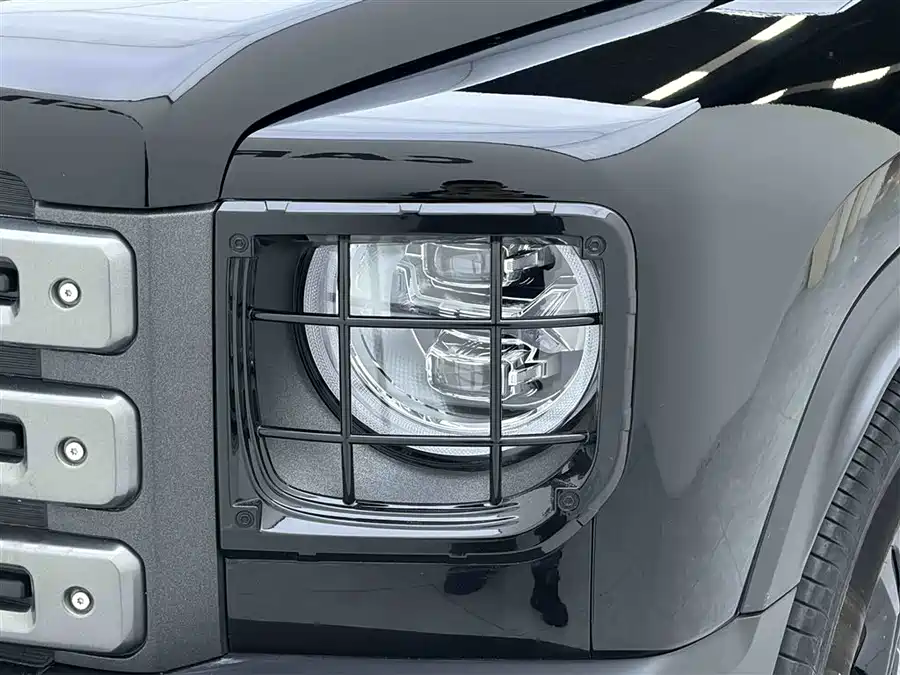 Haval Raptors New Energy