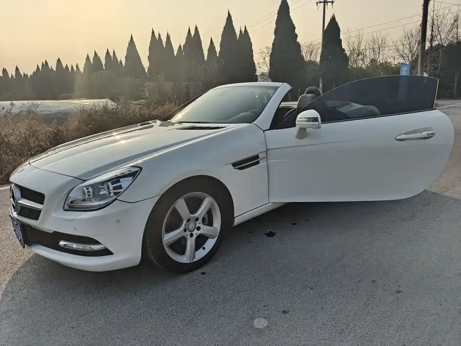 Mercedes Benz SLK-Class