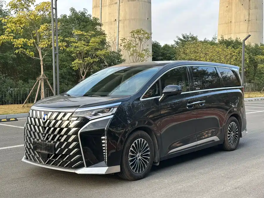 BYD D9