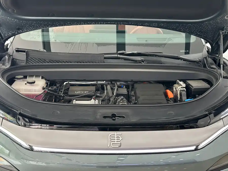 BYD Tang L