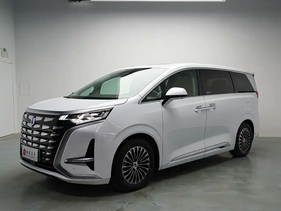 BYD D9