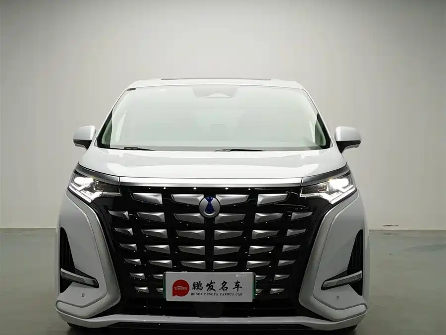 BYD D9