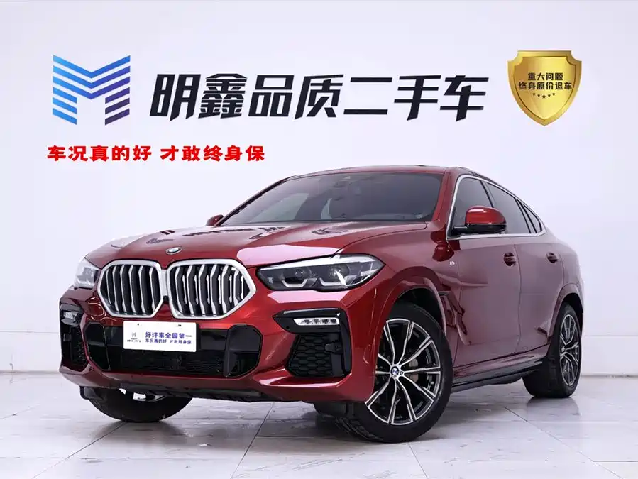 BMW X6