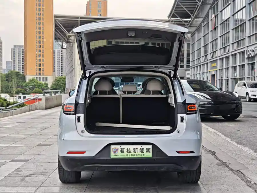 Leapmotor C11