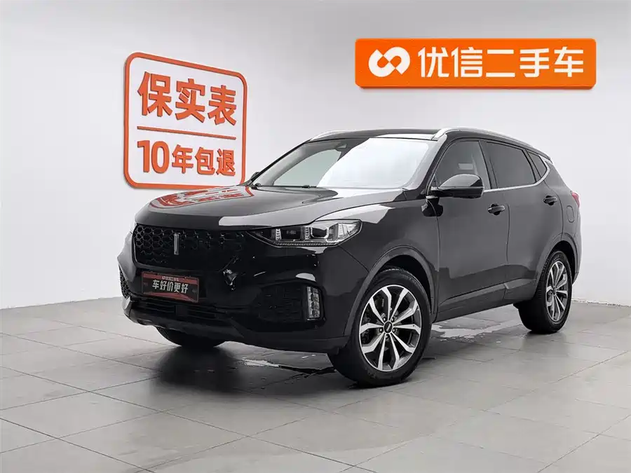 Wey VV6