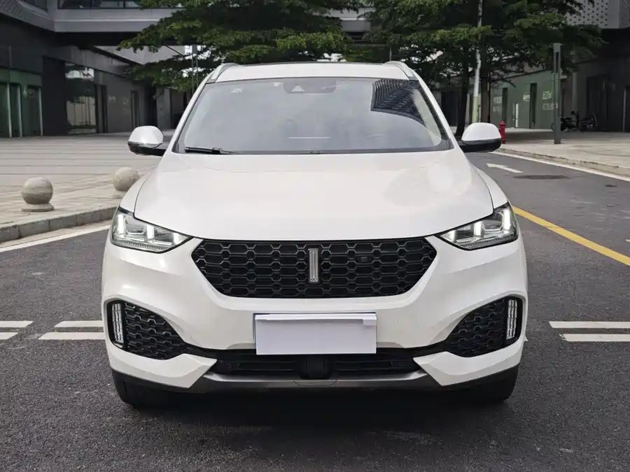 Wey VV6