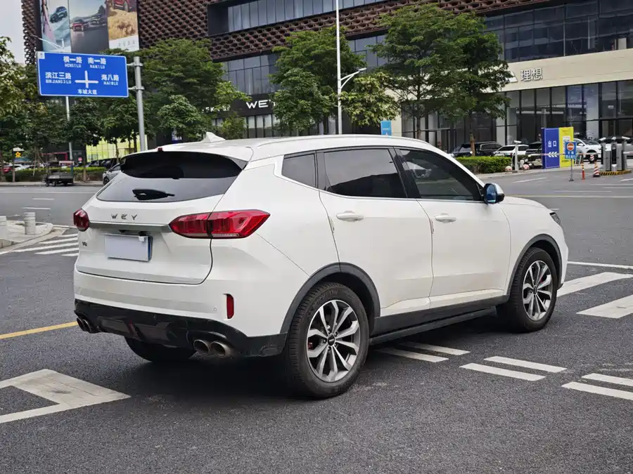 Wey VV6