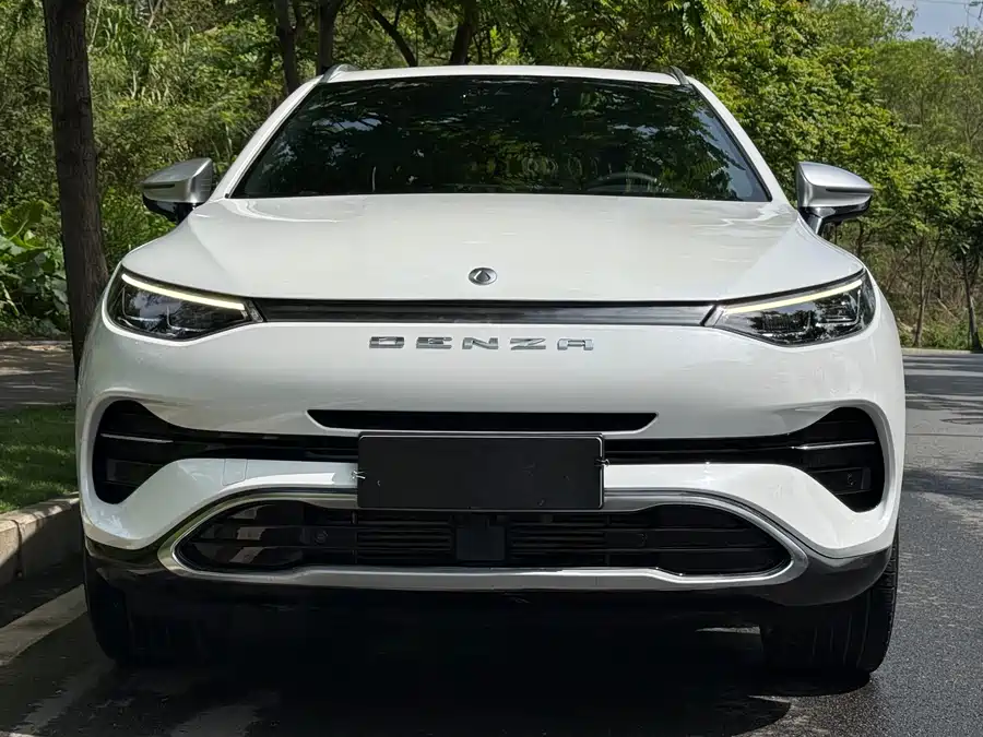 BYD X