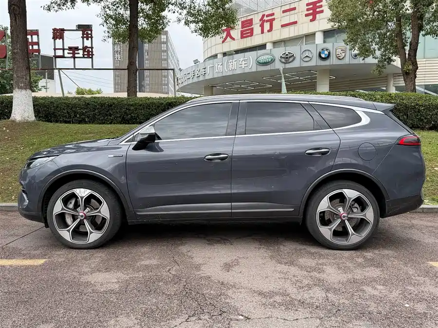 BYD X