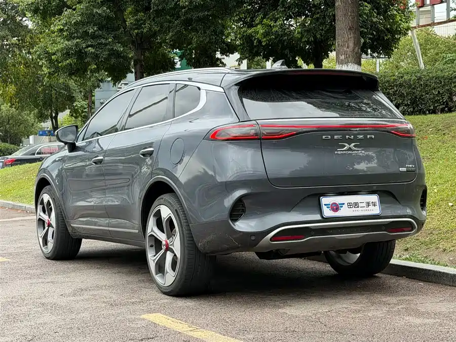 BYD X