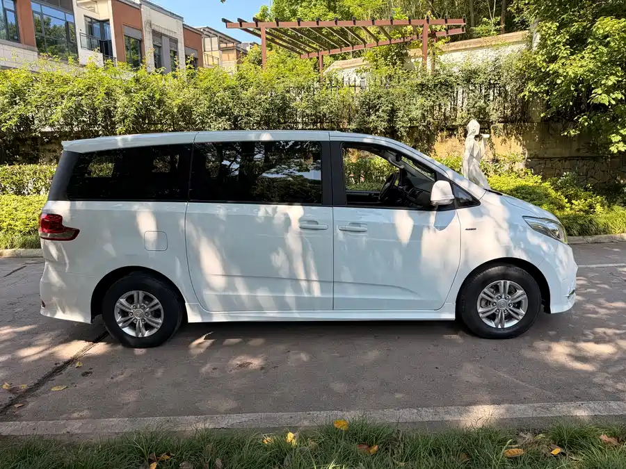 Maxus G10