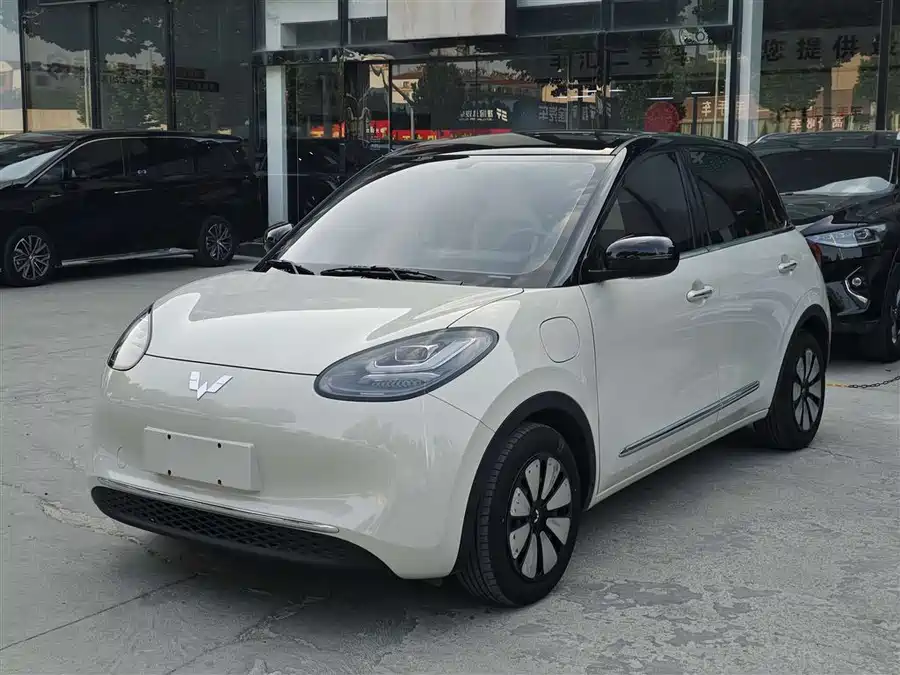 Wuling Bingo
