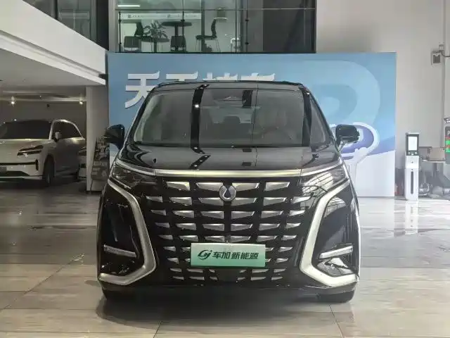 BYD D9