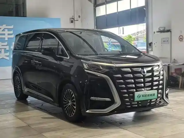 BYD D9