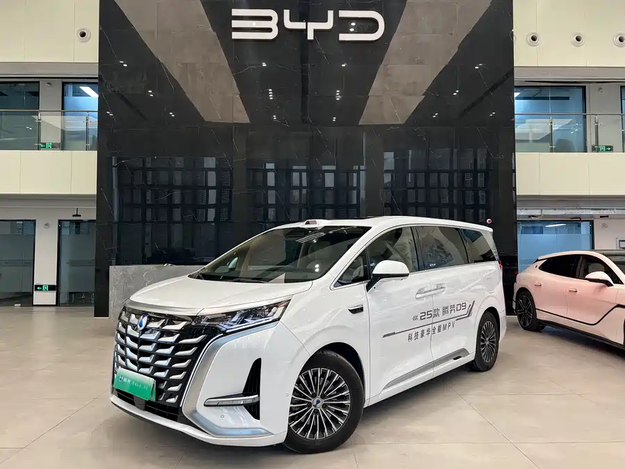 BYD D9