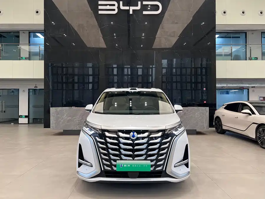 BYD D9