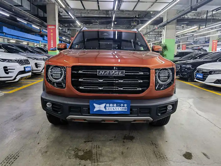 Haval Big Dog DaGou