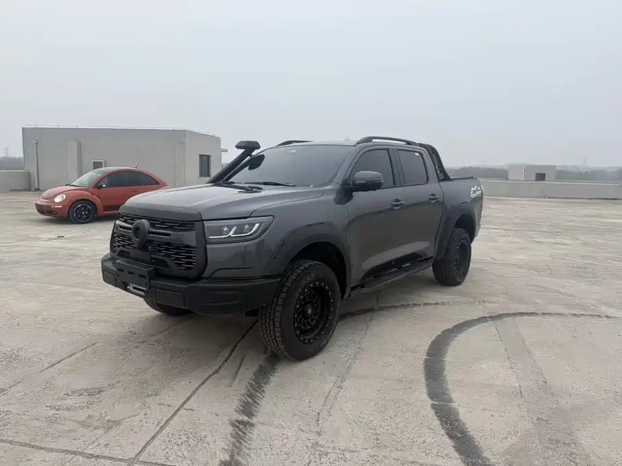Great Wall gun