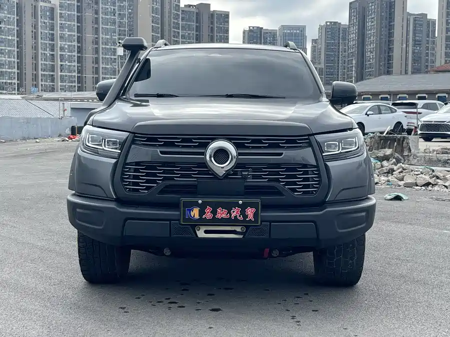 Great Wall gun