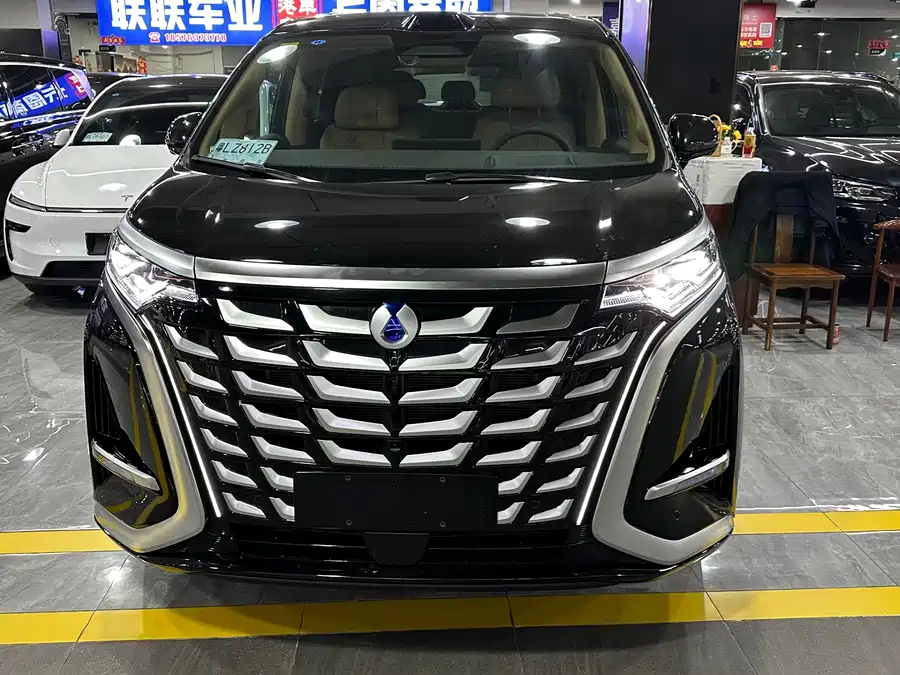 BYD D9